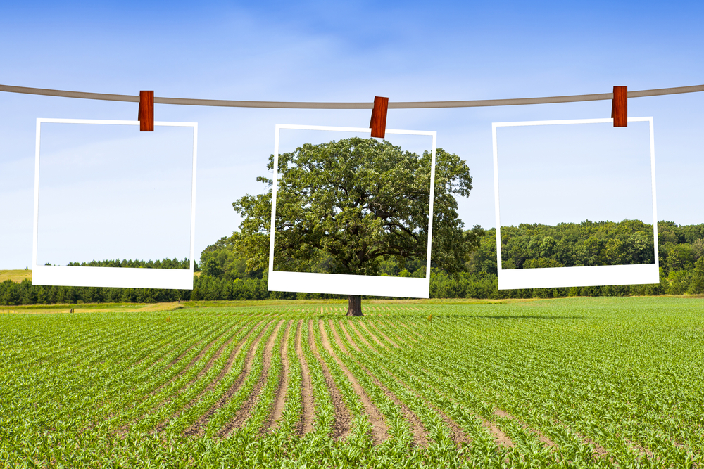 Como a publicidade nativa pode ajudar seu negócio