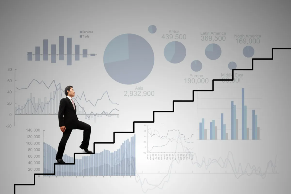 O papel do investidor